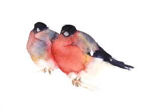 Bullfinches